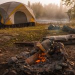 Which Woods Burn The Best? - A Detailed Approach To Campfires